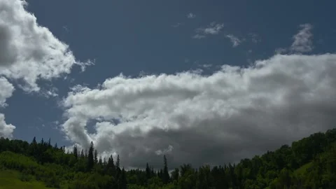 Time lapse of white to gray clouds moving towards the viewer above a forest Stock Footage 247600809