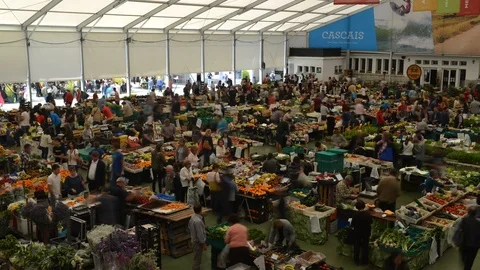 Time lapse wide angle of Cascais, Portugal food market Stock Footage 90791227