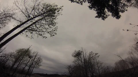 Time lapse, WIDE ANGLE, gray storm clouds race across sky bordered by trees Stock Footage 36541704