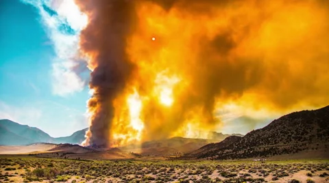 Time Lapse - Wildfire Burning in the Forest and Mountains Stock Footage 53638548