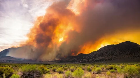 Time Lapse - Wildfire Burning in the Forest and Mountains 库存影片 55103860