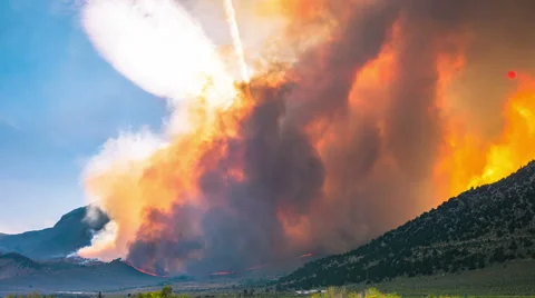 Time Lapse - Wildfire Burning in the Forest and Mountains Stock Footage