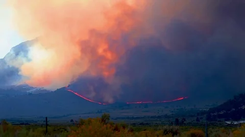 Time Lapse - Wildfire Burning in the Forest and Mountains Stock Footage 72748017
