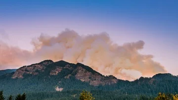 Time Lapse - Wildfire Burning in the Forest and Mountains Stock Footage 85856550