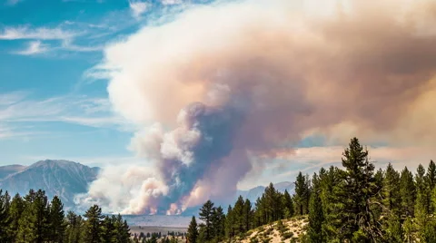 Time Lapse - Wildfire in the Forest and Mountains Stock Footage 53638664