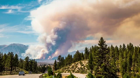 Time Lapse - Wildfire in the Forest and Mountains Stock Footage 55104614