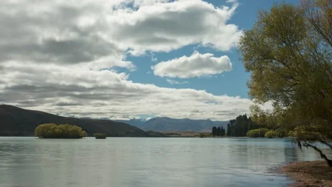 Time lapse of willow tree on the shore of Lake Tekapo with clouds scooting by. Stock Footage 205791914