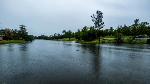 Time Lapse Wind and Rain Storm on Lake with Ducks and Geese Stock Footage 278739613