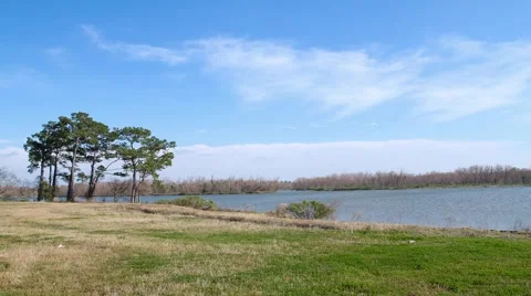 Time Lapse of Wind Blowing Grass and Trees by Lake Video stock 1184056