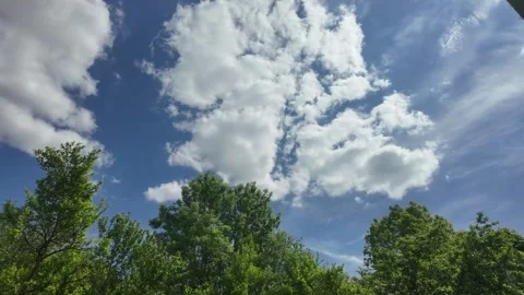 Time-Lapse of Wind Movement – Dance of Hedge and Clouds Stock Footage 309468739
