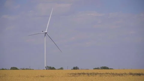 Time lapse of a wind turbine installed in a wheat field 스톡 동영상 312069650