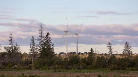 Time lapse of wind turbines in motion with sunset golden light Stock Footage 317786433