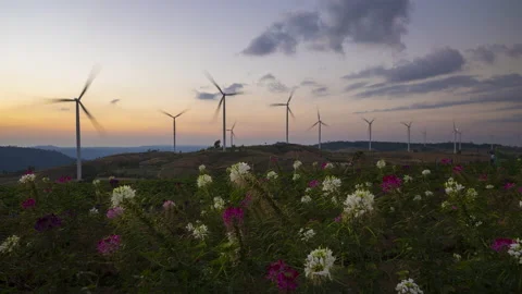 Time lapse of windmill farm for electricity production Video stock 146099482