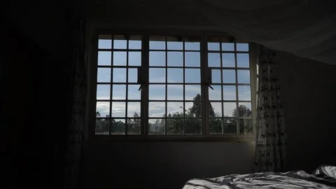 Time-lapse at the window Video stock 322087101