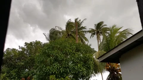 Time lapse windy and rainy day Stock Footage 147416442
