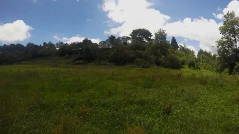 Time lapse of windy hillside with a forest edge 스톡 동영상 126949833
