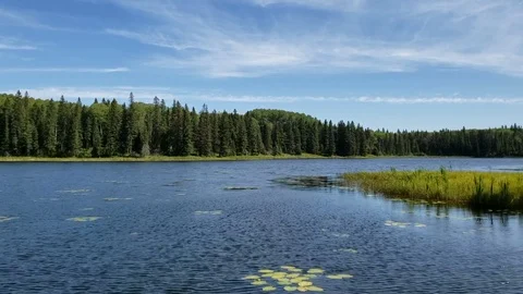 Time Lapse of a Windy sunny day at Hickey Lake, Duck Mountain Provincial Park, M Stock Footage 122149201