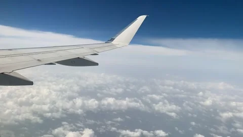 Time Lapse of the Wing During Flight Stock Footage 276664181