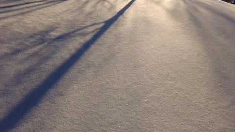 Time Lapse Winter Forest Sunrise Shining Snow Covered Forest Stock Footage 263392010
