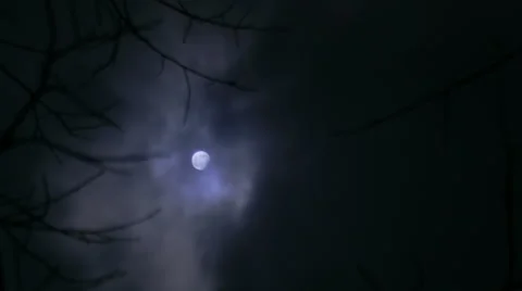 TIME LAPSE Winter – Moon behind branches – pan Stock Footage 45520495