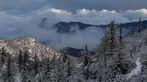 Time lapse of winter storm clouds and snowy forest in the San Gabriel Mountains 스톡 동영상 116586300
