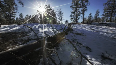 TIME LAPSE - Winter sun moving across forest blue sky Stock Footage 35189429