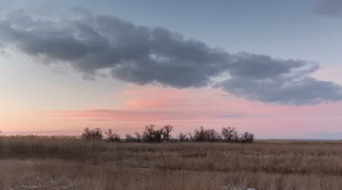 Time lapse. Winter sunset with lilac clouds over the reeds. Video stock 61121649