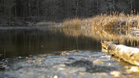 Time-lapse of a wintery lake being lit up by the golden light of a sunrise. Stock Footage 98930150