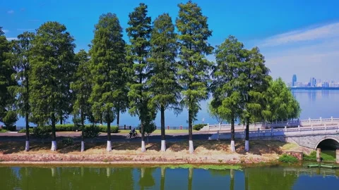 Time Lapse Of The Wuhan City Video stock 166716795