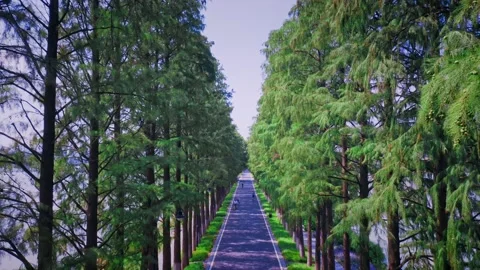 Time Lapse Of The Wuhan City Stock-Footage 166721939