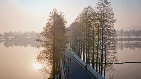 Time Lapse Of The Wuhan City Video stock 200072335