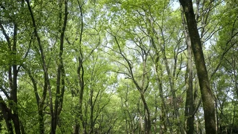 Time Lapse Of The Wuhan City Stock Footage 201280880