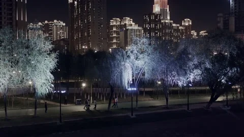 Time Lapse Of The Wuhan City Stock Footage 201326795