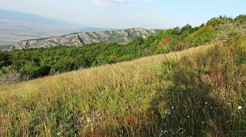 Time lapse with Yellow flower mountain field and blue sky clouds Vídeo Stock 44511888