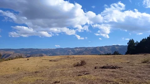 Time lapse of yellow grass with trees and clouds Stock Footage 293093482