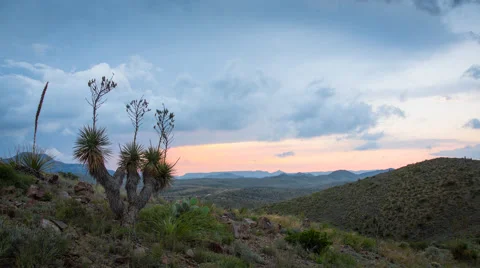 Time-lapse with Yucca plants and a west Texas scene with clouds Stock Footage 60727586
