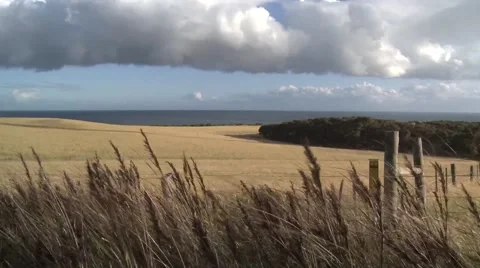 TIME LAPSE_OCEAN PADDOCK Stock Footage 46754504