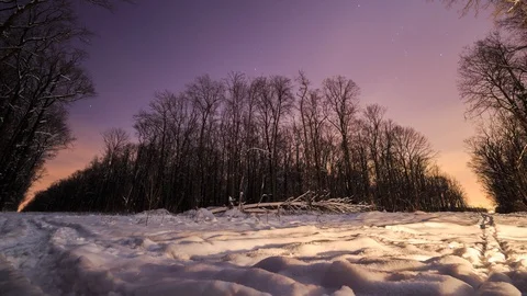 Time lapses. Night in the winter forest. A lot of snow. Stock Footage 116598582