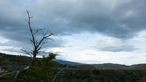 Time-lapse|Torres del Paine|DeadTree and Tundra|EXT|WIDE|DAY|30fps|4K Stock Footage 105673687