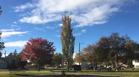 Time laspe of a park corner with a stop Stock Footage 68817507