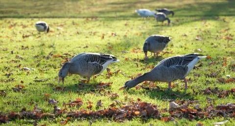 Time for lunch Stock Photos