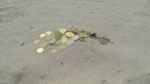 Time is Money Stock Footage 51395905