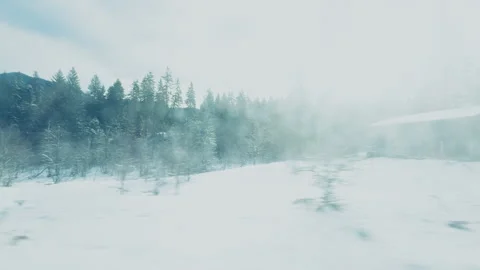 Time Passing Inside The Snow In Romania Stock Footage 306295035