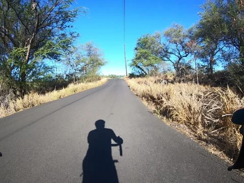 Time Warp Bicycle Ride Stock Footage 191803342