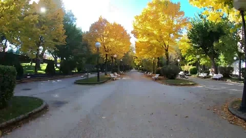 Time warp of a walk at the park with yellow foliage of tree recorded with act Stock Footage 142598529