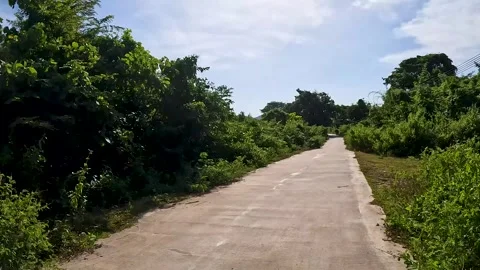 Time-Warping POV Drive through a Scenic Country Road Stock Footage 240883454