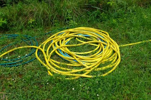 Time to Water. Stock Photos