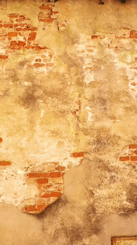 Time-Weathered Brick Wall with Peeling Plaster Texture for Historical Stock Footage 314660427