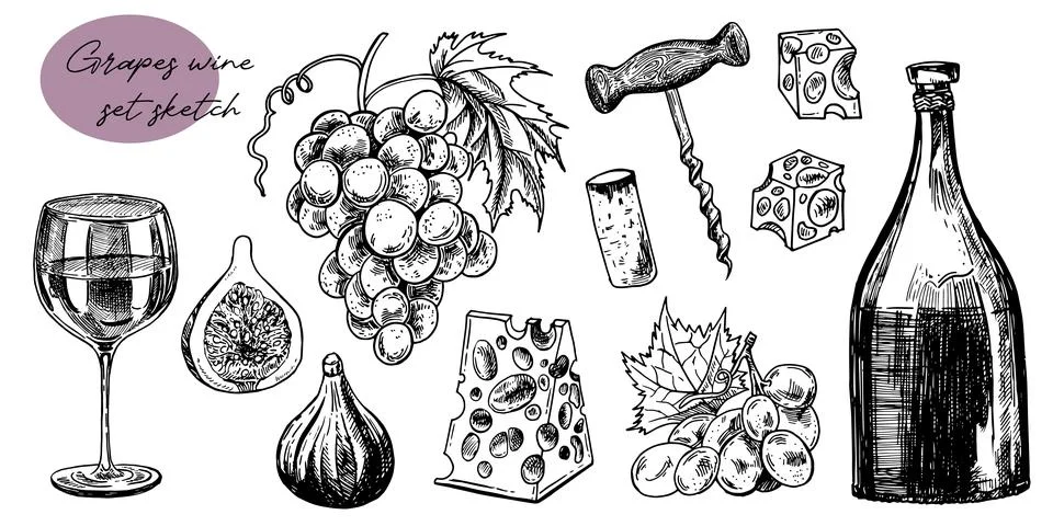 Time for wine vector hand drawn sketch illustration. Human hand holding wine Stock Illustration