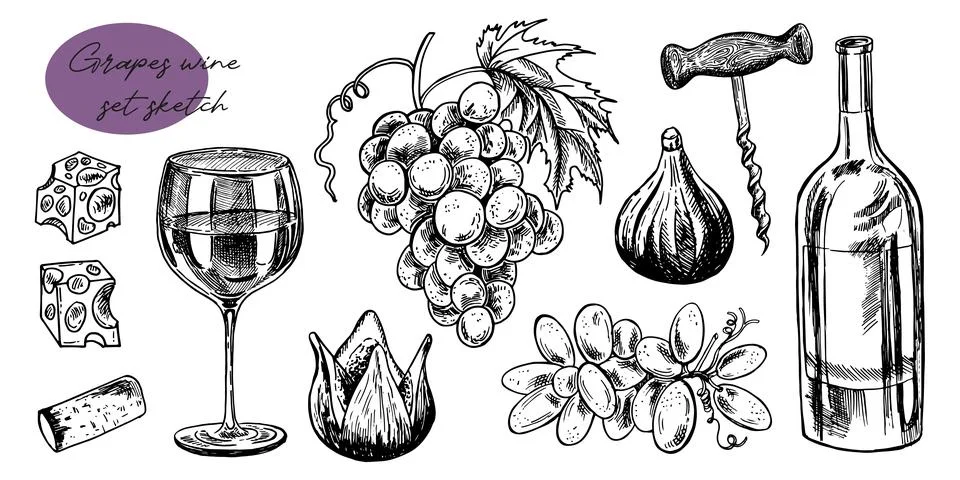 Time for wine vector hand drawn sketch illustration. Human hand holding wine Stock Illustration